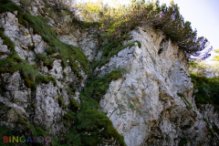 IMG_3008