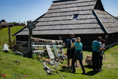 IMG_3040