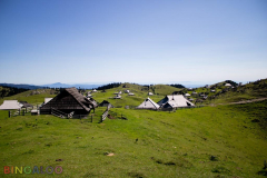 IMG_3088